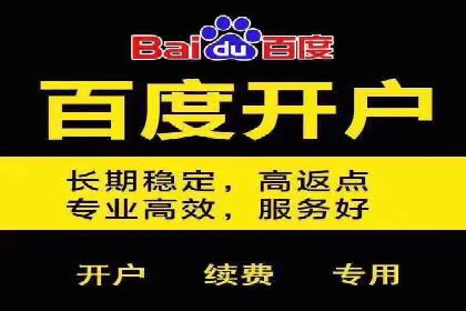 百度推广案例：低成本高回报的精准营销策略